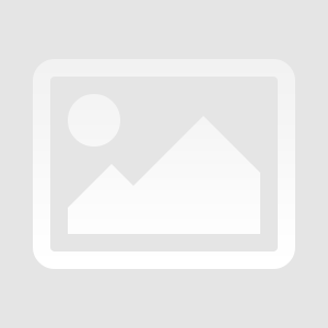 The course Digital Transformation